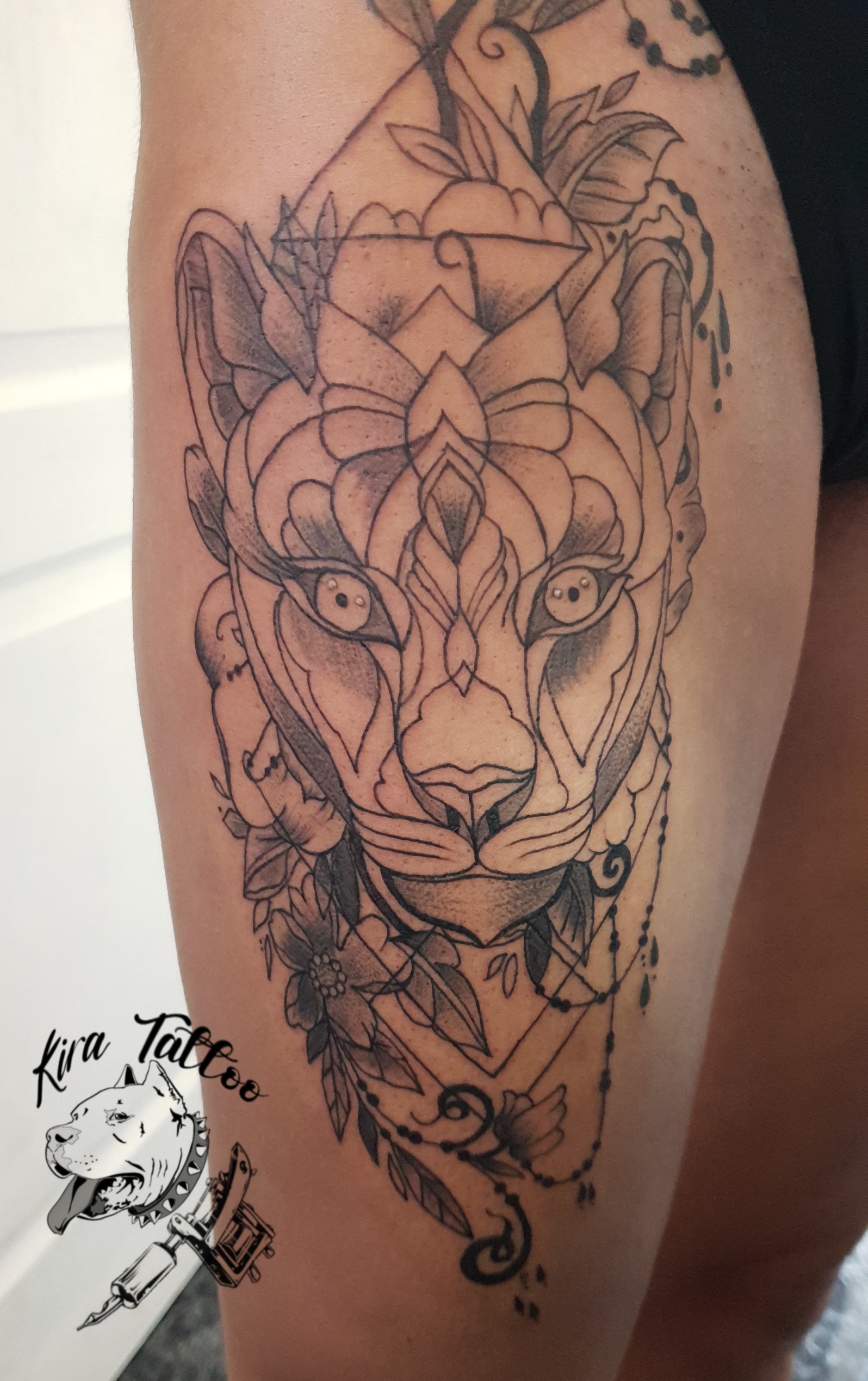 Leona geometrica y lineal
