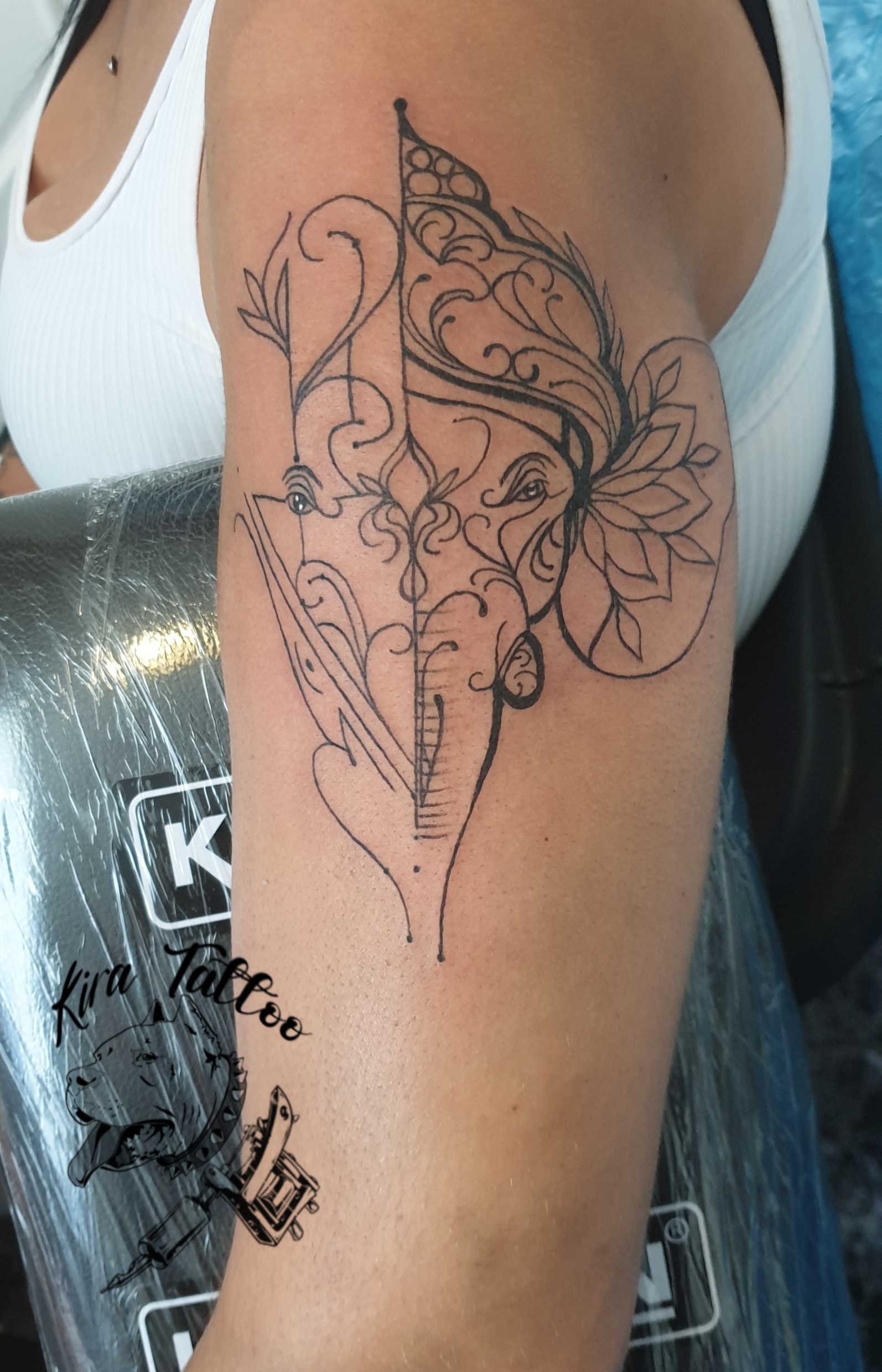 Elefante lineal