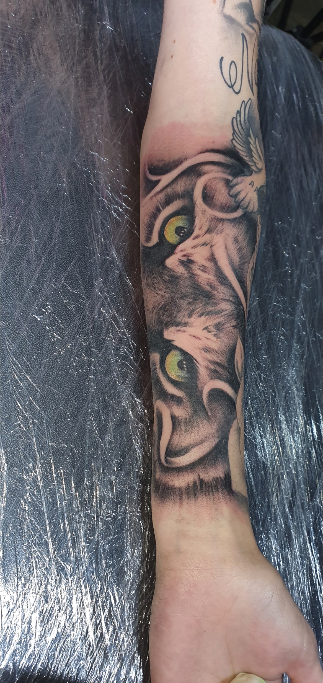 Mirada Felina